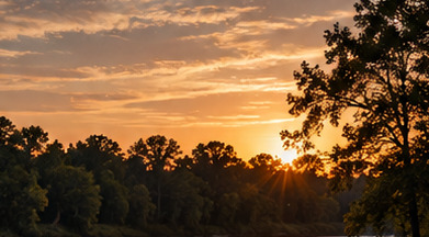 Illustrative photo of a sunset over water and trees; representative scenery, not a specific location